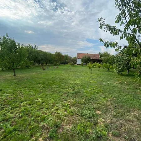 Dézsavű